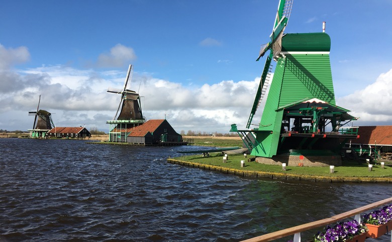 Tiptoe Through the Tulips on a Holland Cruise