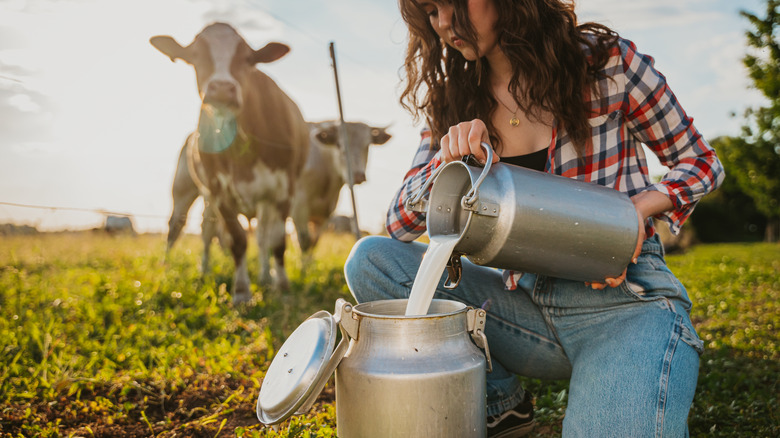 Woman pouring milk into container on farm 