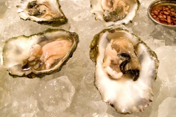 Rock Oysters