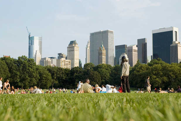 Most Accessible: Central Park, New York City