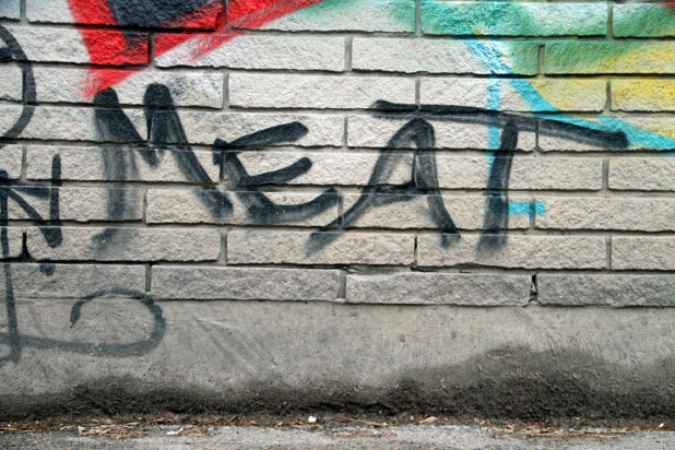 Meat