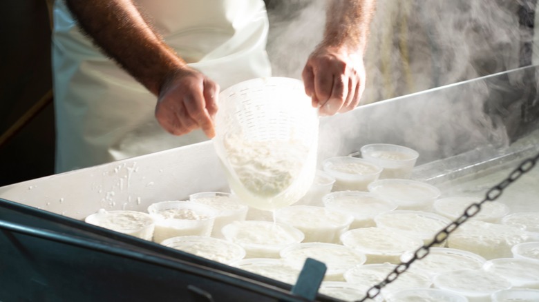 Process of making ricotta cheese