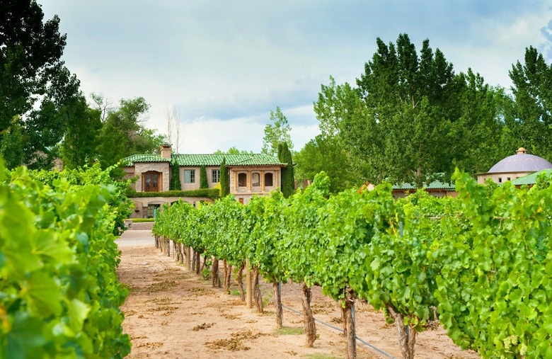 Touring and Tasting in an Unexpected American Wine Region: New Mexico