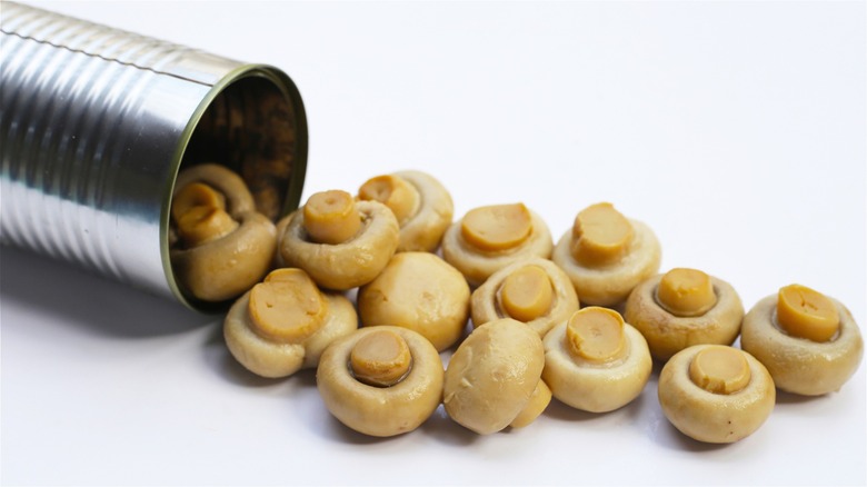 mushrooms spilling out of a can