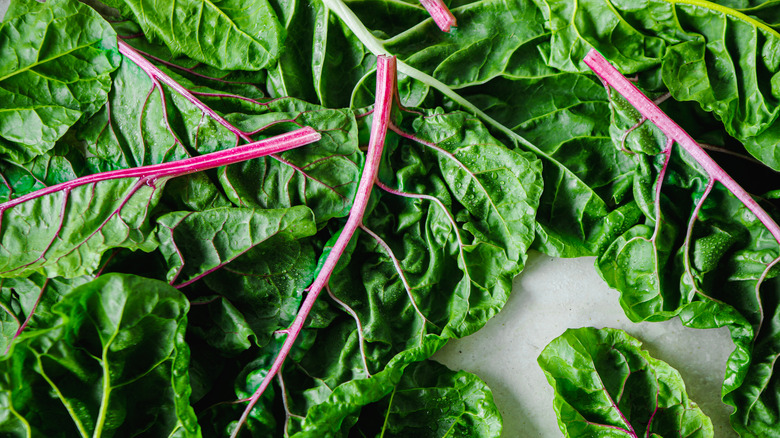 Washed whole swiss chard leaves