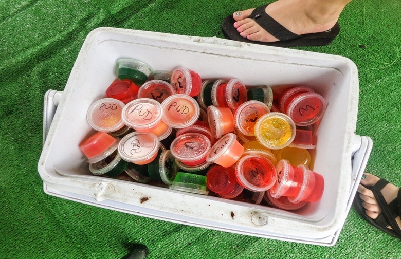 Team Jell-O Shots