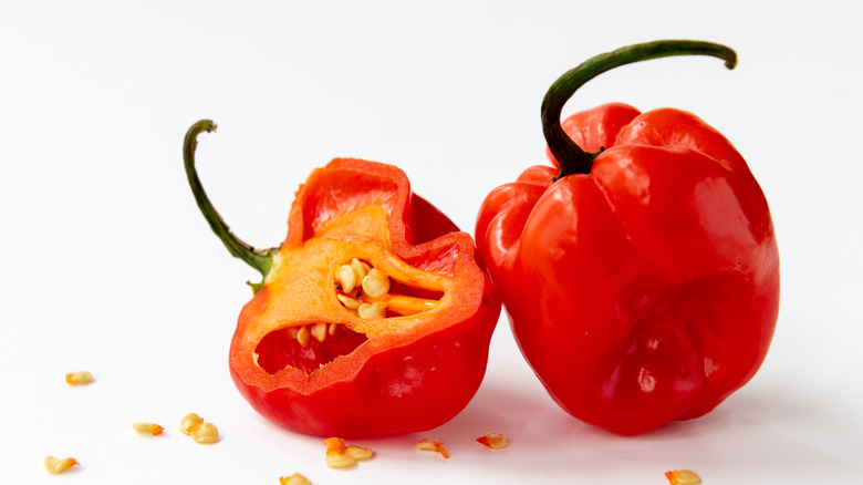 scotch bonnet peppers