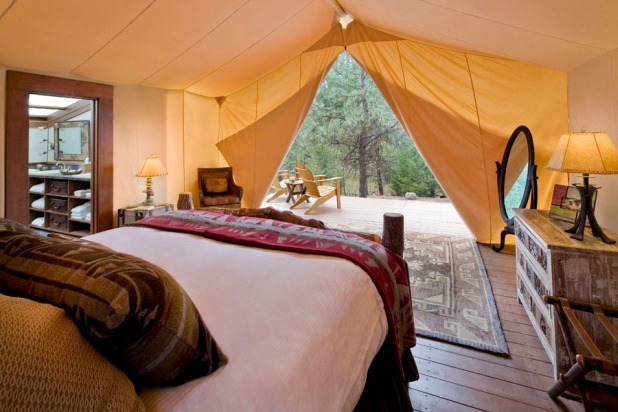 Go Glamping: Paws Up 