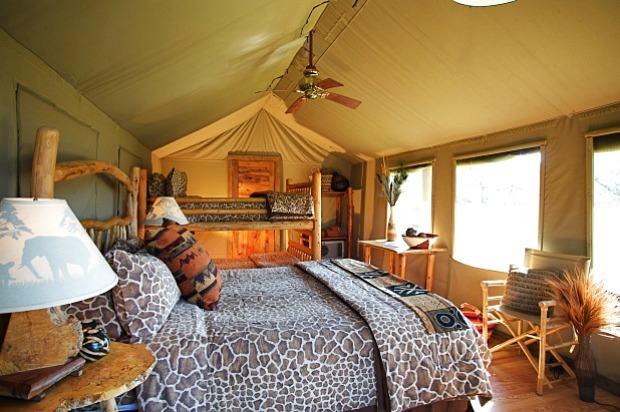 Go Glamping: Safari West 