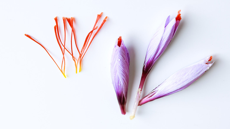 saffron stigma and flowers