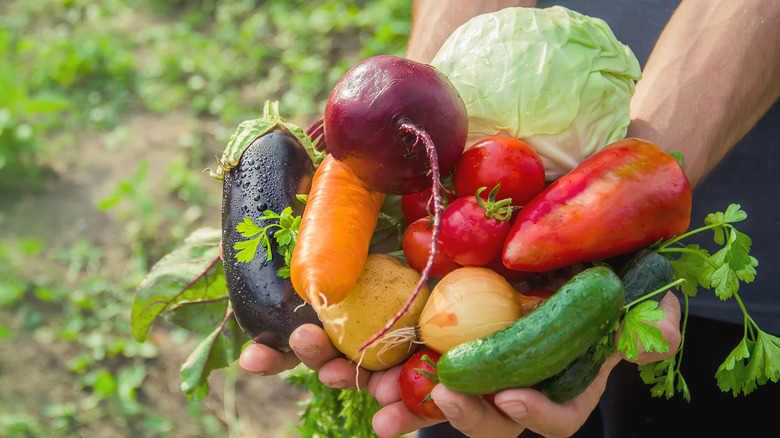 Assortment of fresh produce