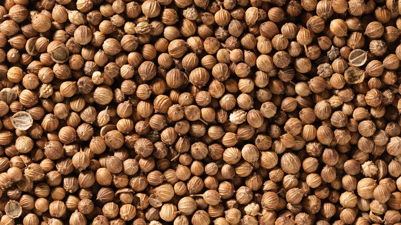 Dried coriander seeds