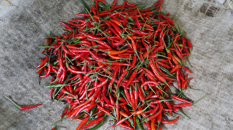 Thai chili peppers