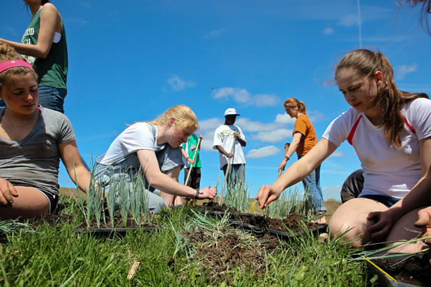 Farm to Table/Student Farmers