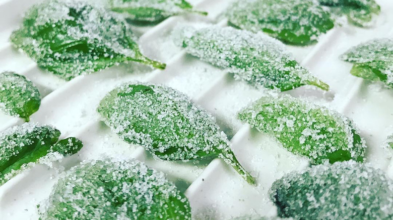 candied basil leaves