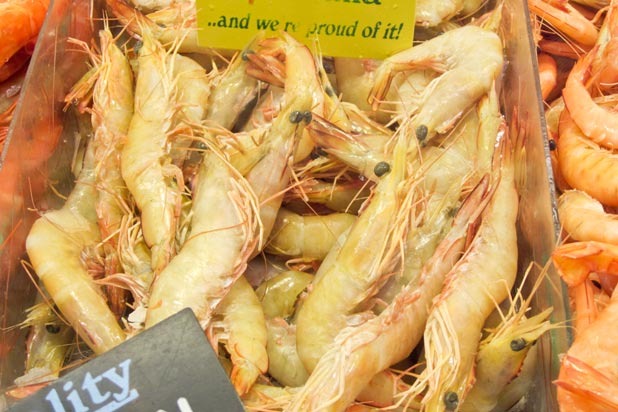 Australian Banana Prawns