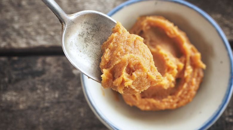 bowl and spoon full of miso paste