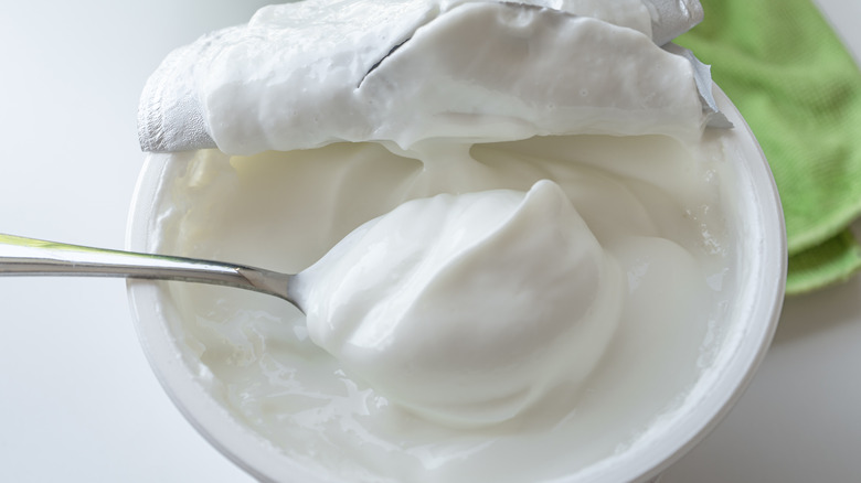 Spoonful of Greek yogurt