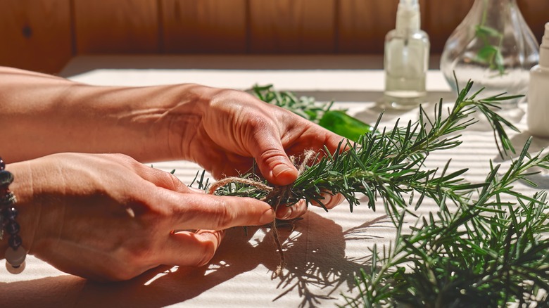 hands tying rosemary bundle