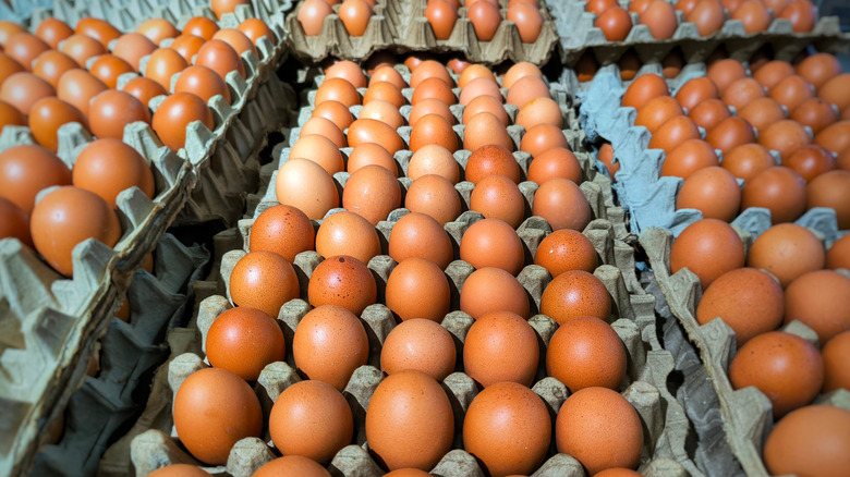 Trays of brown eggs ready to be put into cartons