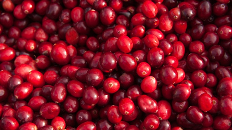 cranberries close up