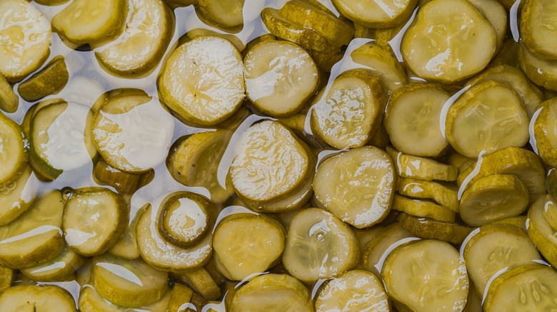 Briny pickle slices