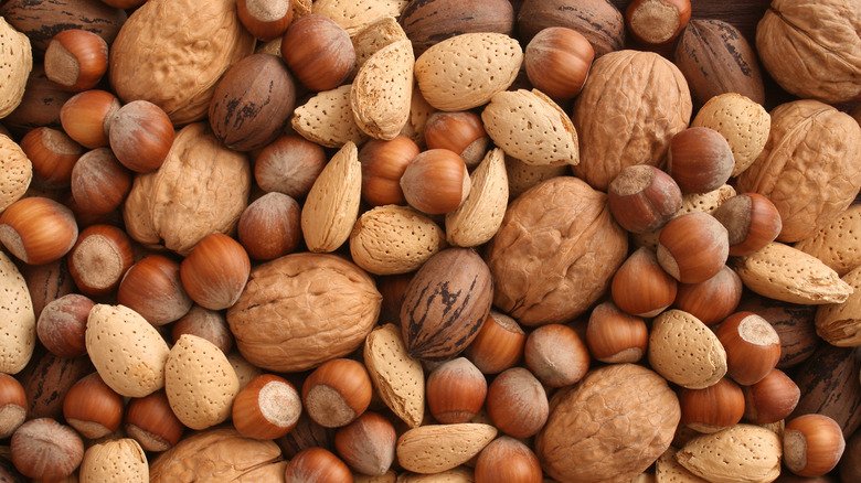 Variety of tree nuts