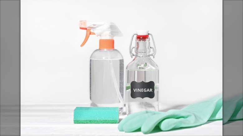 vinegar bottle with cleaning supplies