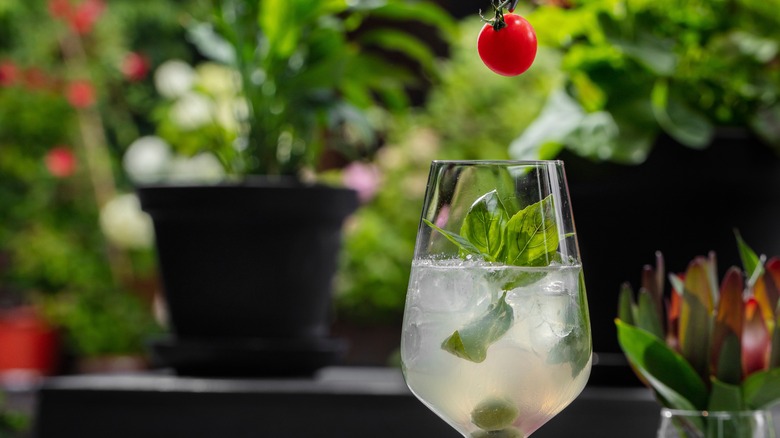 basil cocktail with tomato