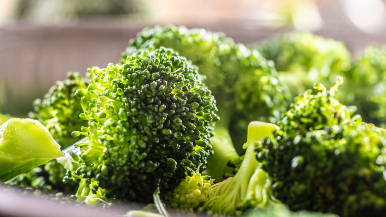 close up of fresh broccoli florets