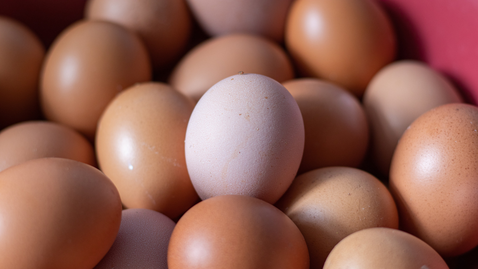 Walmart Vs Aldi Which Chain Sells The Cheapest Eggs? The Daily Meal