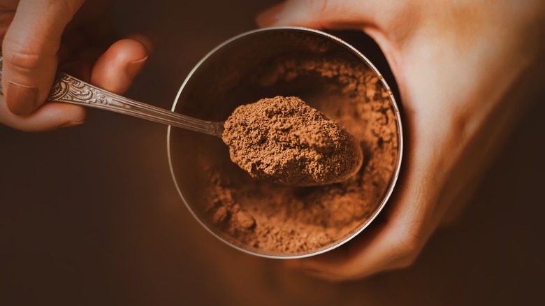 spoon of cocoa powder over dish