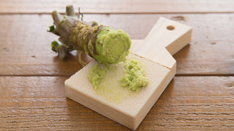 Wasabi root and sharkskin grater