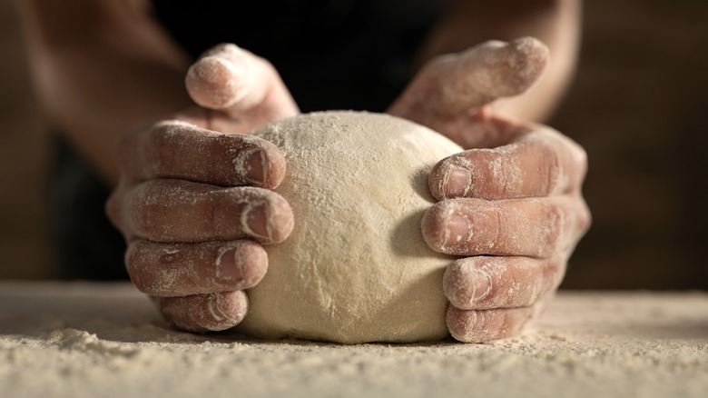 Ball of pizza dough