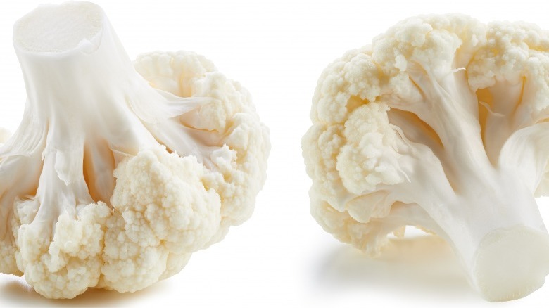 cauliflower against white background