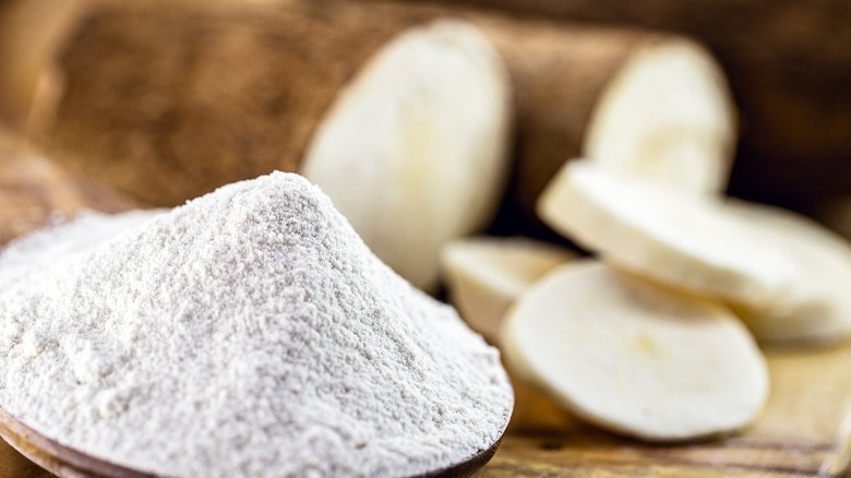 tapioca powder with cassava root