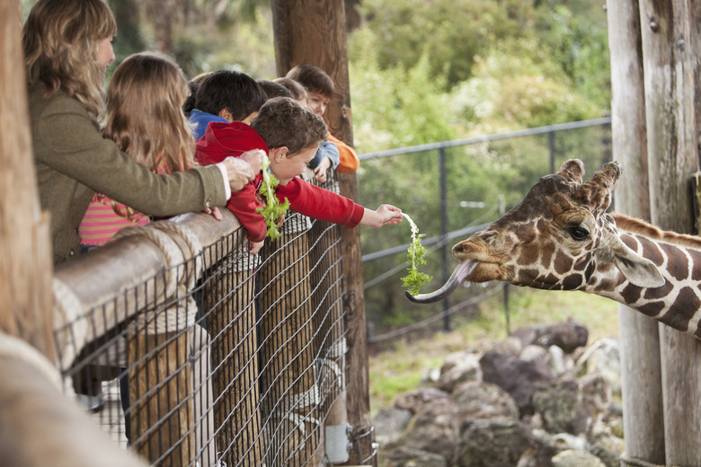 Go to a Local Zoo or Aquarium