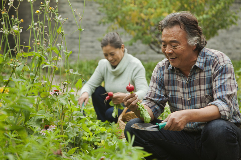 Lower bone density