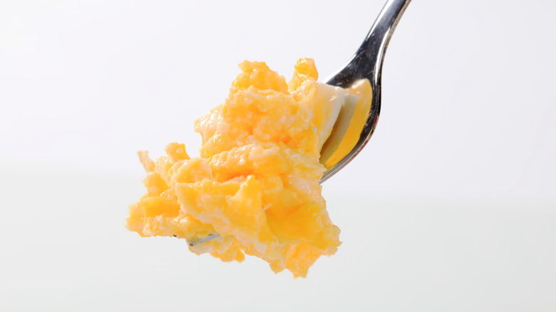 Scrambled eggs on a fork