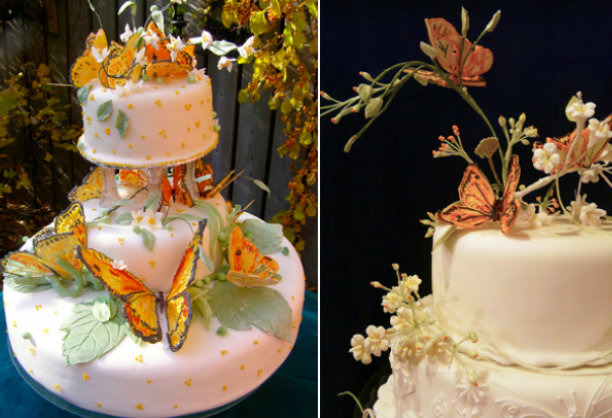 Butterfly Cake