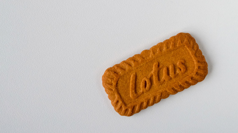 One Lotus Biscoff cookie