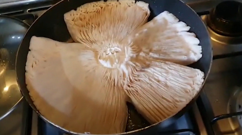 Giant white mushroom in frying pan