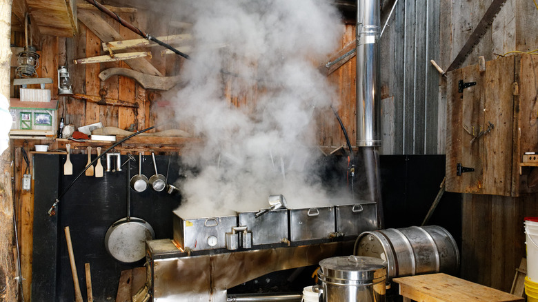 maple syrup boiler working