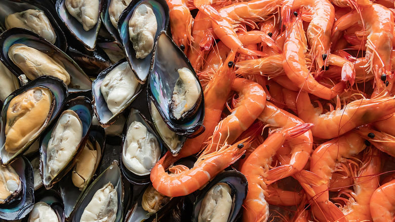 Cooked shellfish and prawns on display