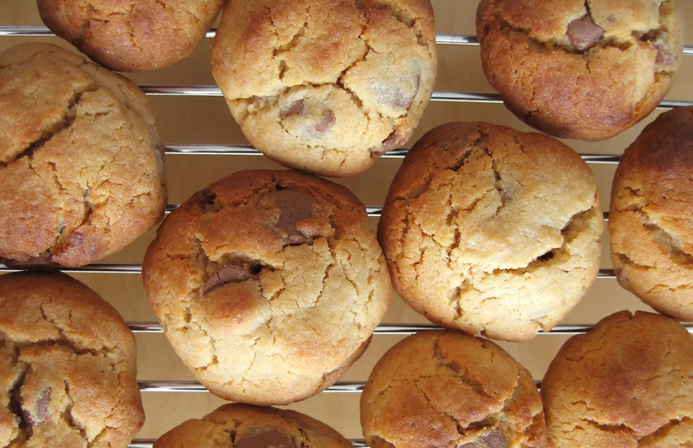 Teff Peanut Butter Chocolate Chip Cookies