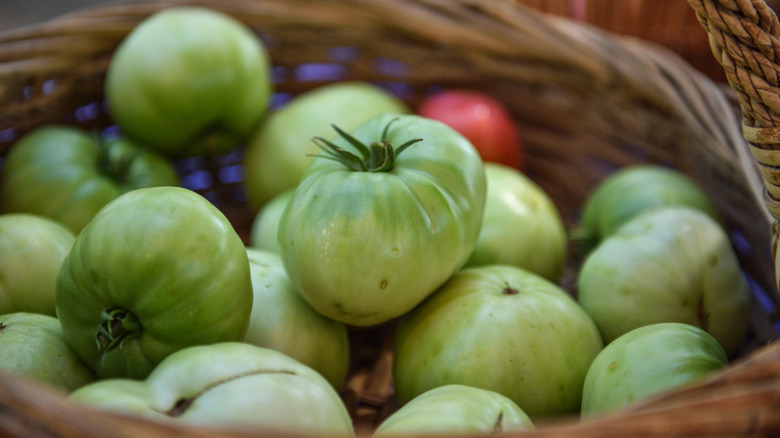 Green tomatoes in a basket