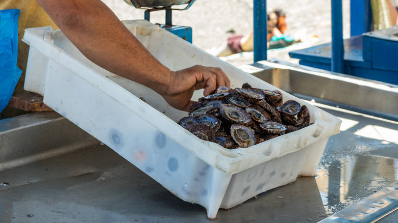 A tub of limpets