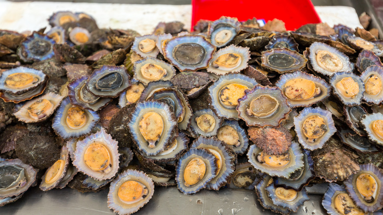 Limpets at a market