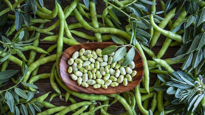 shelled lima beans and pods