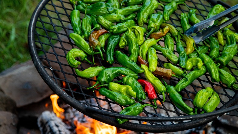 shishito peppers cooking